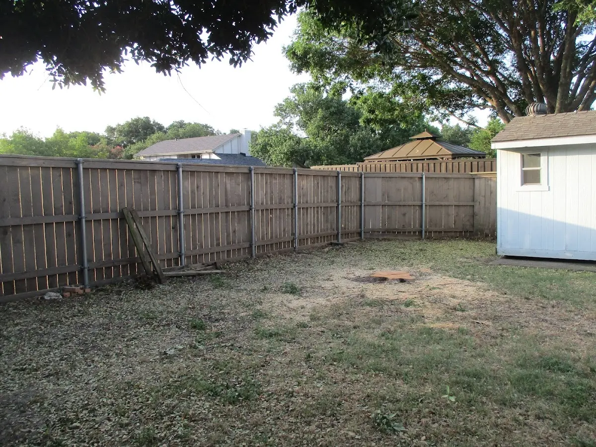 Cleared yard after professional tree removal in Lily Dale