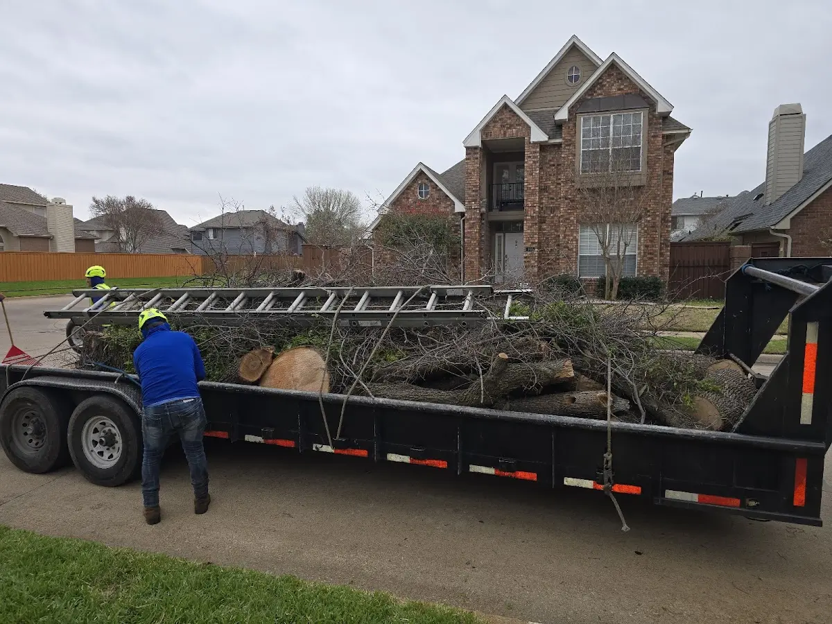 Expert Tree Fertilization with proper safety equipment in Lily Dale